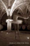 danse003bis.jpg (46423 octets)